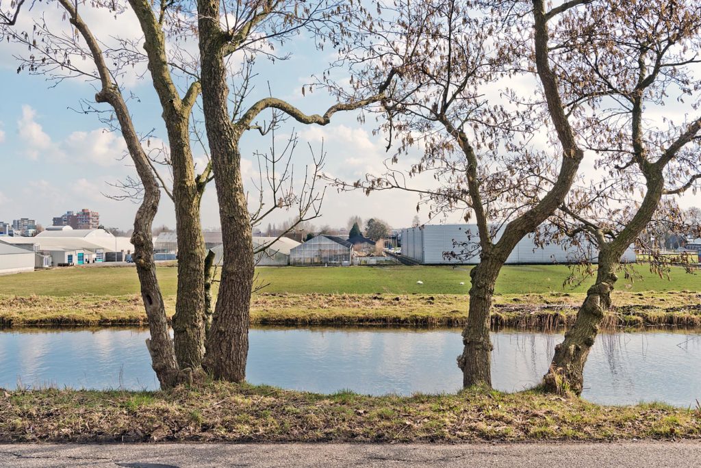 uitzicht over polder bomen water sloot
