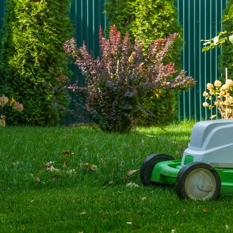 Maak je tuin verkoop klaar - Eveneleens