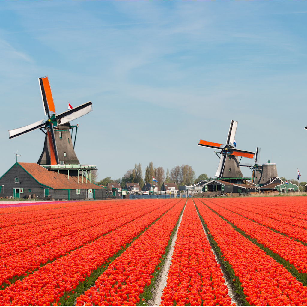 Recreatie Aalsmeer | Eveleens Makelaars